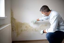 Best Post-Construction Mold Inspection  in USA